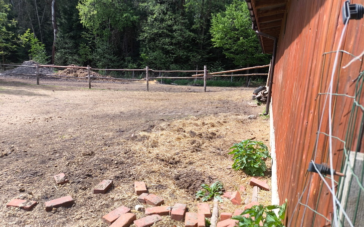 Widok na podwórko z drewnianym budynkiem i ogrodzeniem.