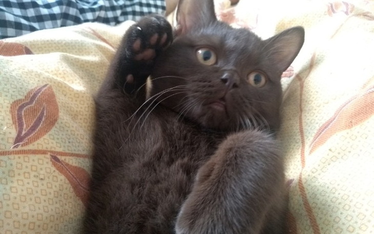 Zbiórka Pilnie potrzebuje kasy bardzo - zdjęcie główne