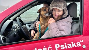 Zbiórka Nowe auto. Na ratunek zwierzakom - miniaturka zdjęcia