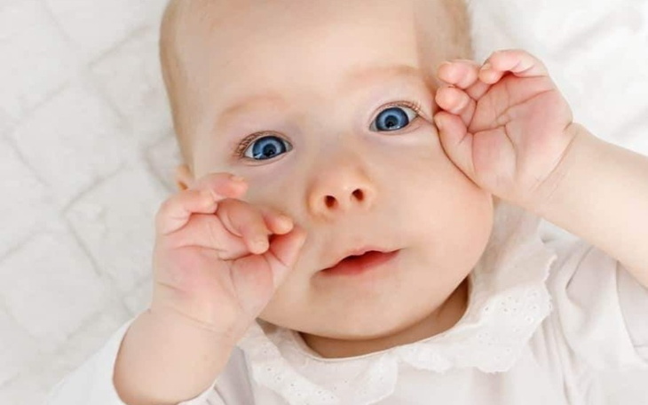 Zbiórka 1 urodziny WALECZNEJ ZOSI - zdjęcie główne