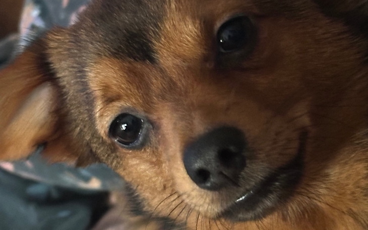 Zbiórka Pomoc dla Wiesia. - zdjęcie główne