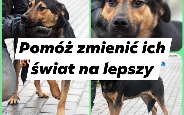 Zbiórka Smutaski z Radys w potrzebie - zdjęcie główne