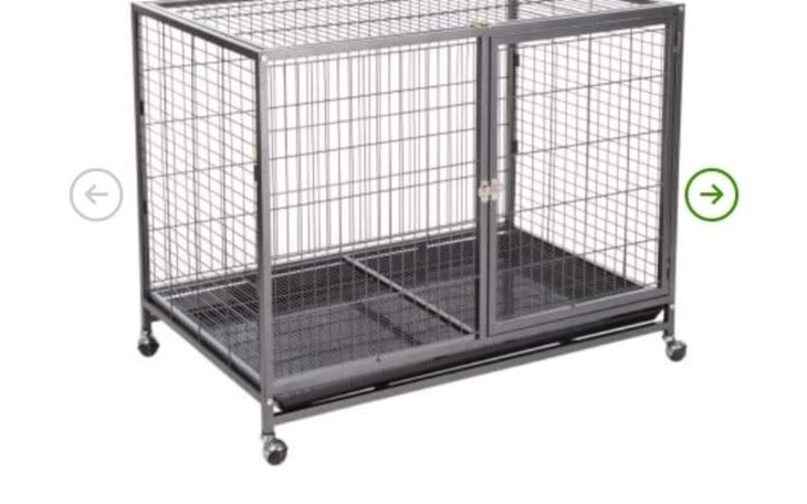 Zbiórka Miejscowka dla zwierzakow po zab - zdjęcie główne