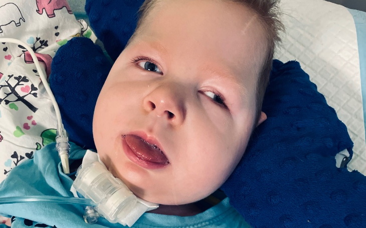 Zbiórka W poszukiwaniu spokoju - zdjęcie główne