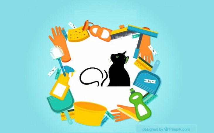 Zbiórka Spełniamy kocie marzenia! - zdjęcie główne