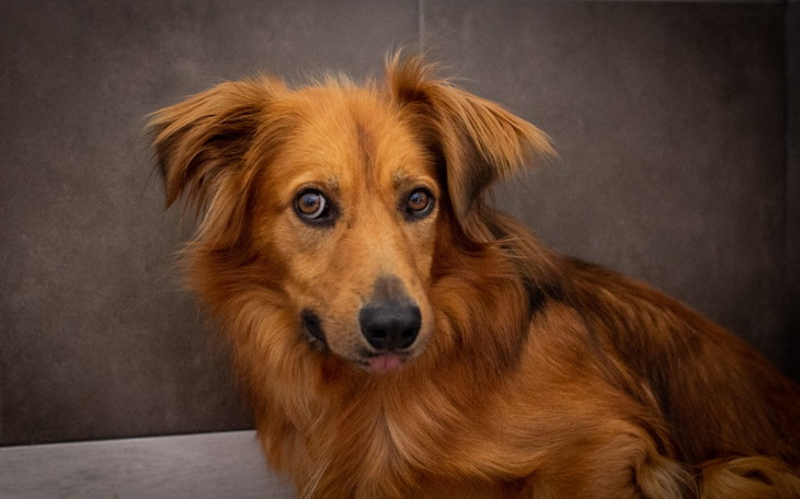 Zbiórka Skarbonka dla Karolka - zdjęcie główne