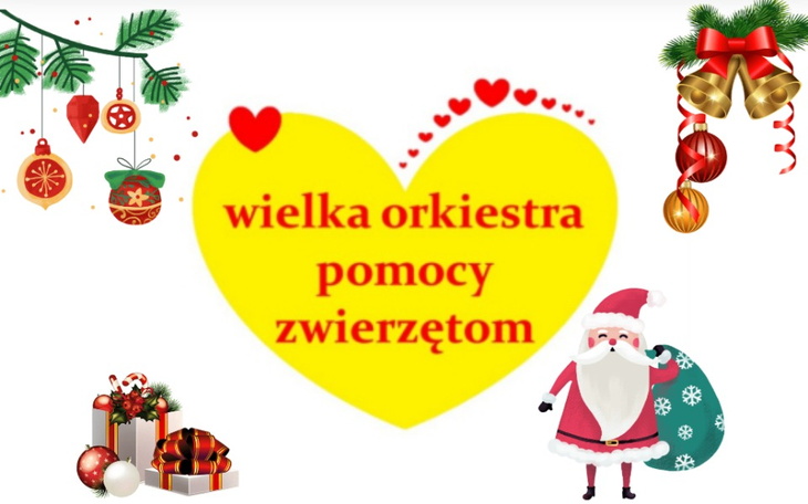 Zbiórka WielkaOrkiestra PomocyZwierzętom - zdjęcie główne