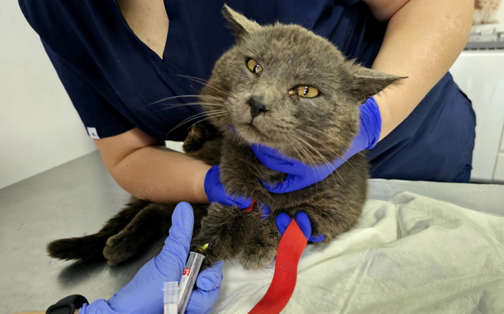 Zbiórka Magnum - zdjęcie główne