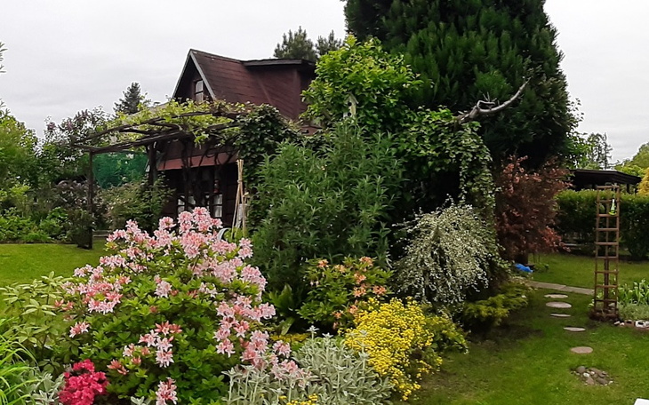 Zbiórka ocalić marzenia - zdjęcie główne