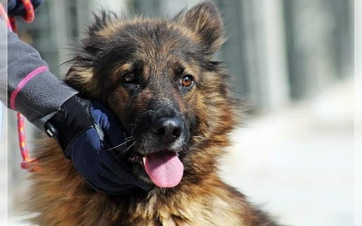 Zbiórka Trzy życia jedna szansa - zdjęcie główne