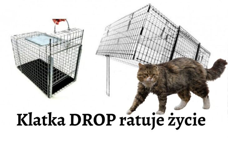 Zbiórka Klatka drop- ratujemy zwierzęta - zdjęcie główne