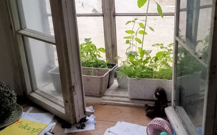 Zbiórka Szkody popowodziowe .Radochów - zdjęcie główne