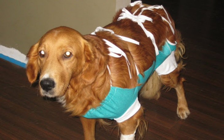 Zbiórka Pomoc dla Omegi - zdjęcie główne