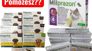 Zbiórka Stop pasożytom i kleszczom! - miniaturka zdjęcia