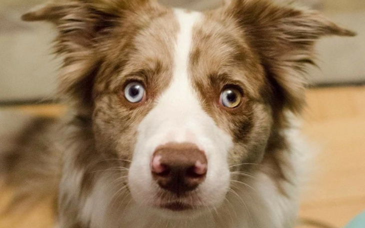 Zbiórka Każda choroba przychodzi znikąd. - zdjęcie główne