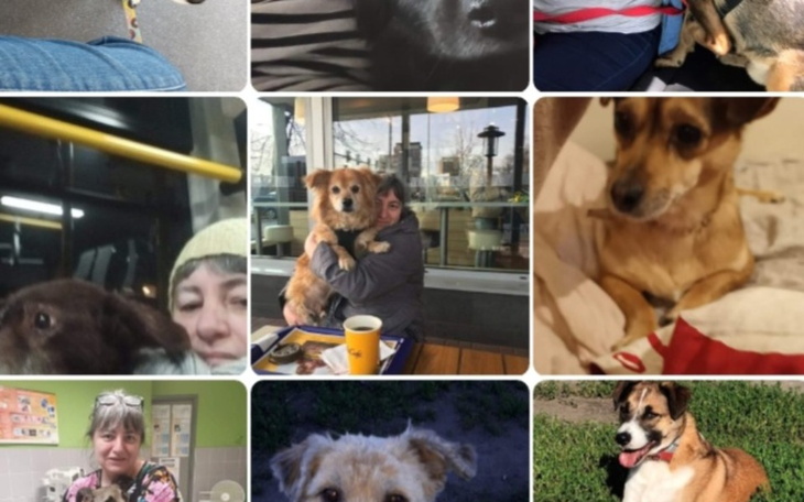 Zbiórka Urodzinowa dla niepełnosprawnych - zdjęcie główne