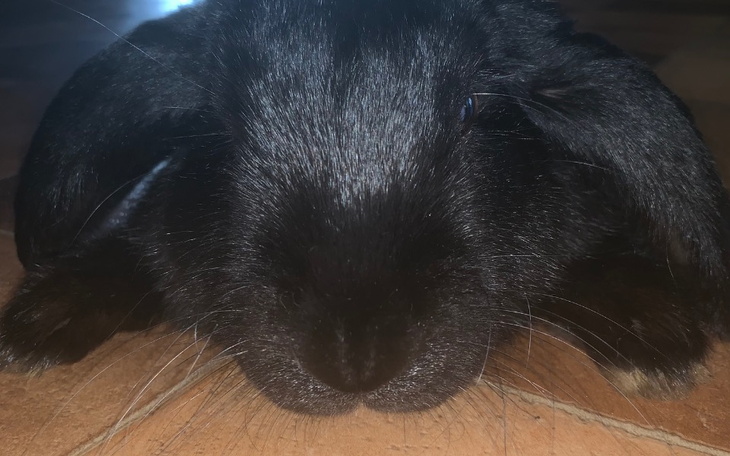 Zbiórka Drugie życie Maćka - zdjęcie główne