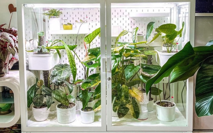 Zbiórka Na zachcianki Karola - zdjęcie główne