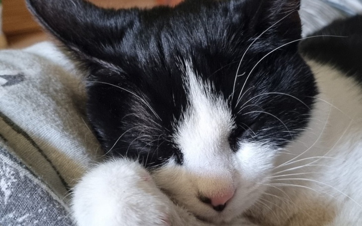 Zbiórka Na wycieczke po Europie - zdjęcie główne