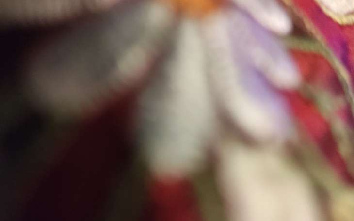 Zbiórka Zbieram na zycie naprawde - zdjęcie główne