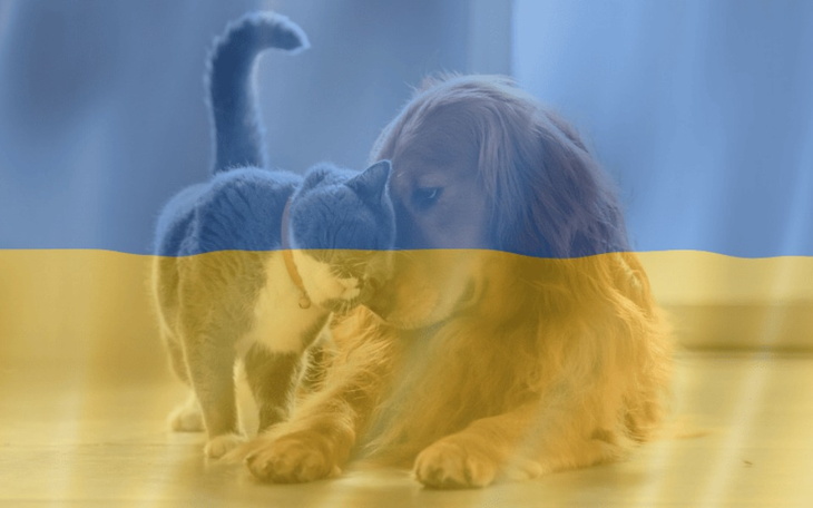 Zbiórka Pomoc w Ukrainie. - zdjęcie główne