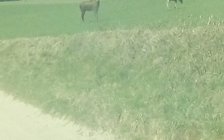 Zbiórka Zalozenie wody w domu - zdjęcie główne