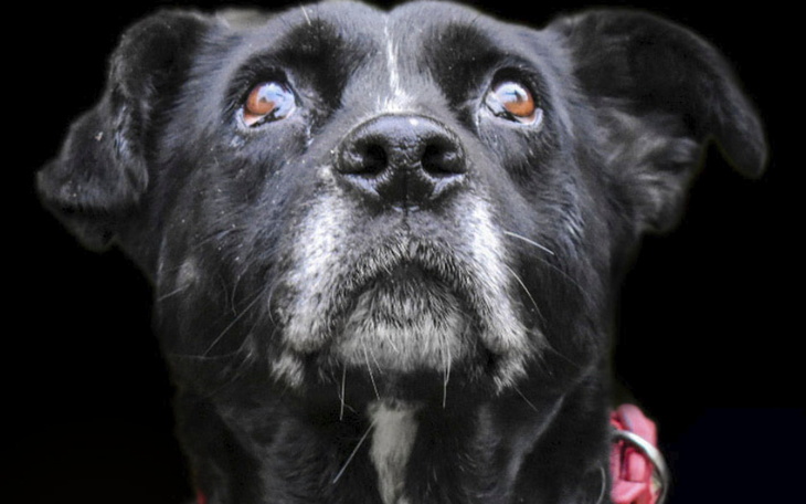 Zbiórka Pomoc zaczyna się od edukacji - zdjęcie główne