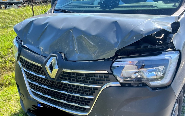 Zbiórka Pomoc w zebraniu na kaucje - zdjęcie główne