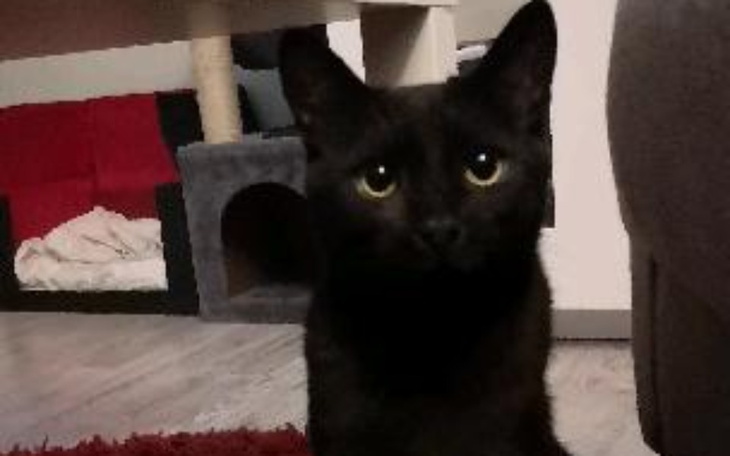 Zbiórka Leczenie Borysa. - zdjęcie główne