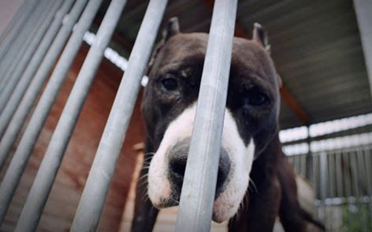 Zbiórka Na jedzenie na bezdomnych TTB - zdjęcie główne