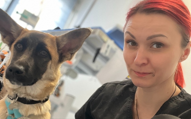 Zbiórka Na nostryfikację dyplomu - zdjęcie główne