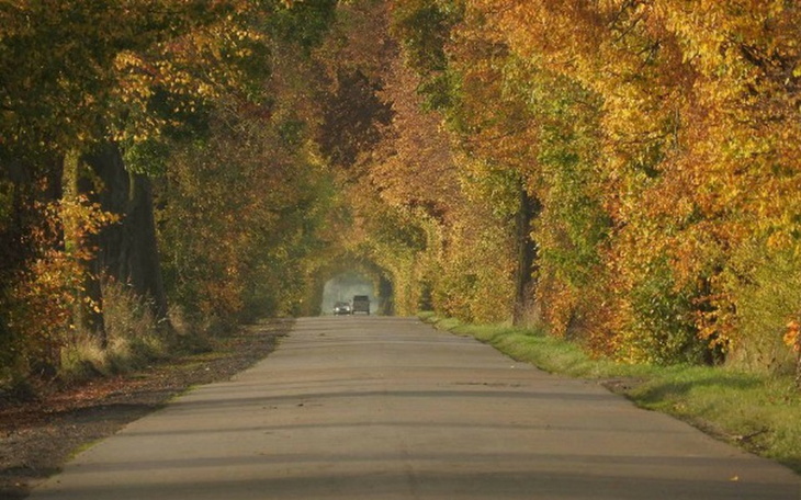 Zbiórka Na Wejppena dla Mariczki - zdjęcie główne