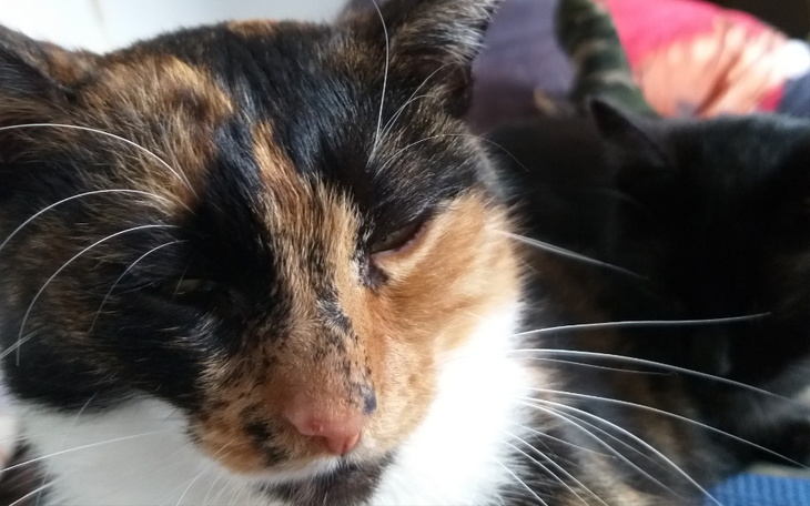 Zbiórka Renata Grymuza - zdjęcie główne