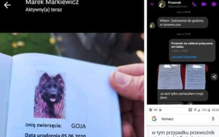 Zbiórka Piesek Goja - zdjęcie główne