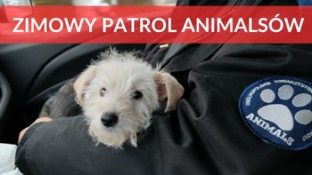Zbiórka Zimowy Patrol Animalsów 2026 - miniaturka zdjęcia