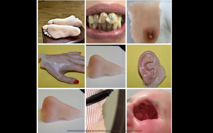 Kolaż różnych części ciała wykonanych z materiałów sztucznych.