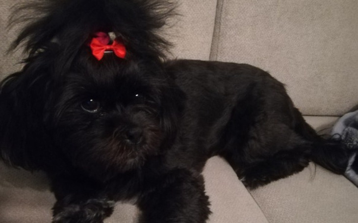 Zbiórka Nelly - operacja i leczenie - zdjęcie główne