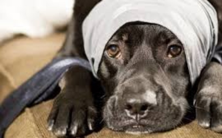 Zbiórka Zbieram pieniążki - zdjęcie główne