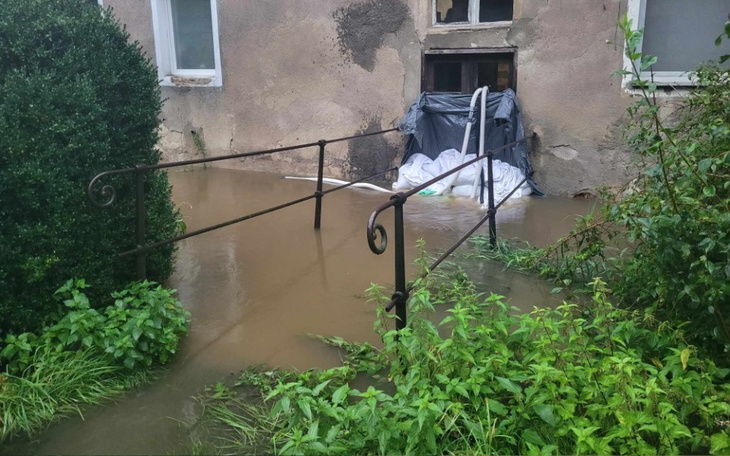 Zbiórka Zbiórka dla mamy i dwóch córek - zdjęcie główne