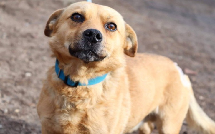 Zbiórka Bez was nie damy rady - zdjęcie główne