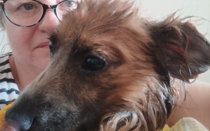 Zbiórka Źle traktowany Kubuś traci wzrok - zdjęcie główne