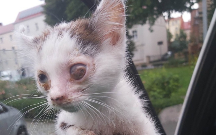 Zbiórka Pomóż nam pomagać prosimy - zdjęcie główne