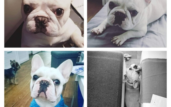 Zbiórka Tajfun chce żyć Oddychać / - zdjęcie główne