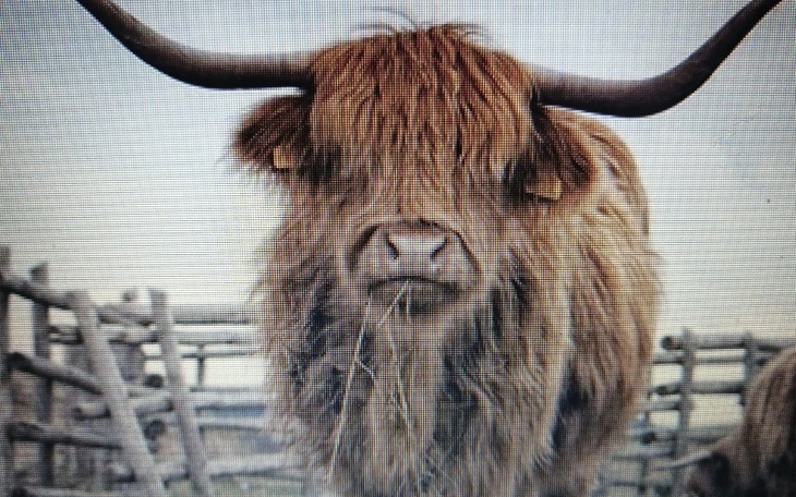 Zbiórka Rozwuj gospodarstwa - zdjęcie główne