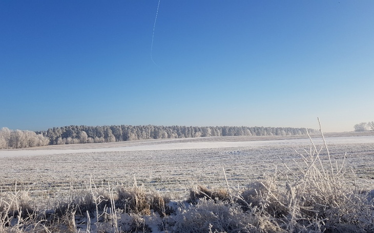 Zbiórka Rachunek za prąd oraz leki. - zdjęcie główne