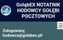 Zbiórka GołąbEX - aplikacja dla hodowców - miniaturka zdjęcia