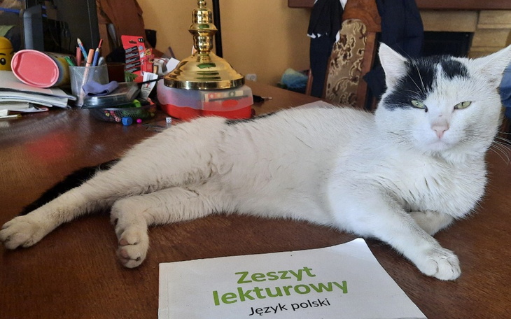 Zbiórka Wyleczyć Mikiego - zdjęcie główne