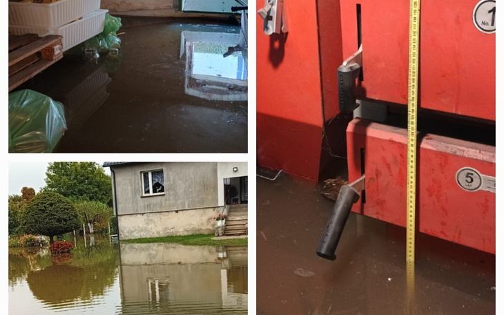 Zbiórka Powódź 2024 - Osiecznica - zdjęcie główne