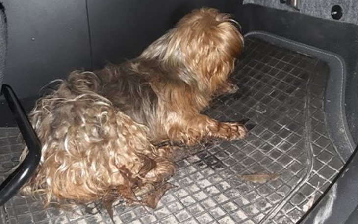 Zbiórka Maszynka do zarabiania pieniędzy - zdjęcie główne