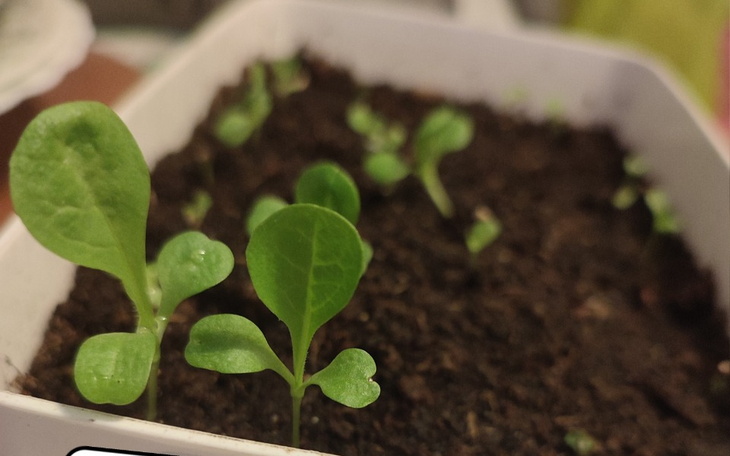 Zbiórka Zbieram na działkę. - zdjęcie główne